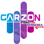 Garzon Stereo