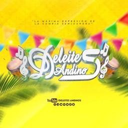 Deleites Andinos Radio