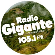 radio gigante 105.1 fm